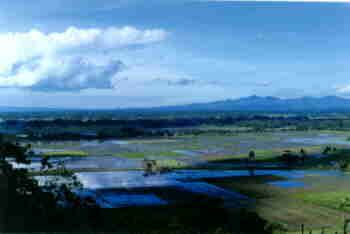 Uitzicht over de rijstvelden rond Panguil Bay - Lanao del Norte